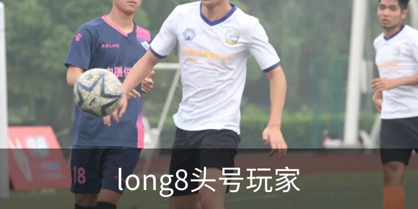 long8头号玩家概况